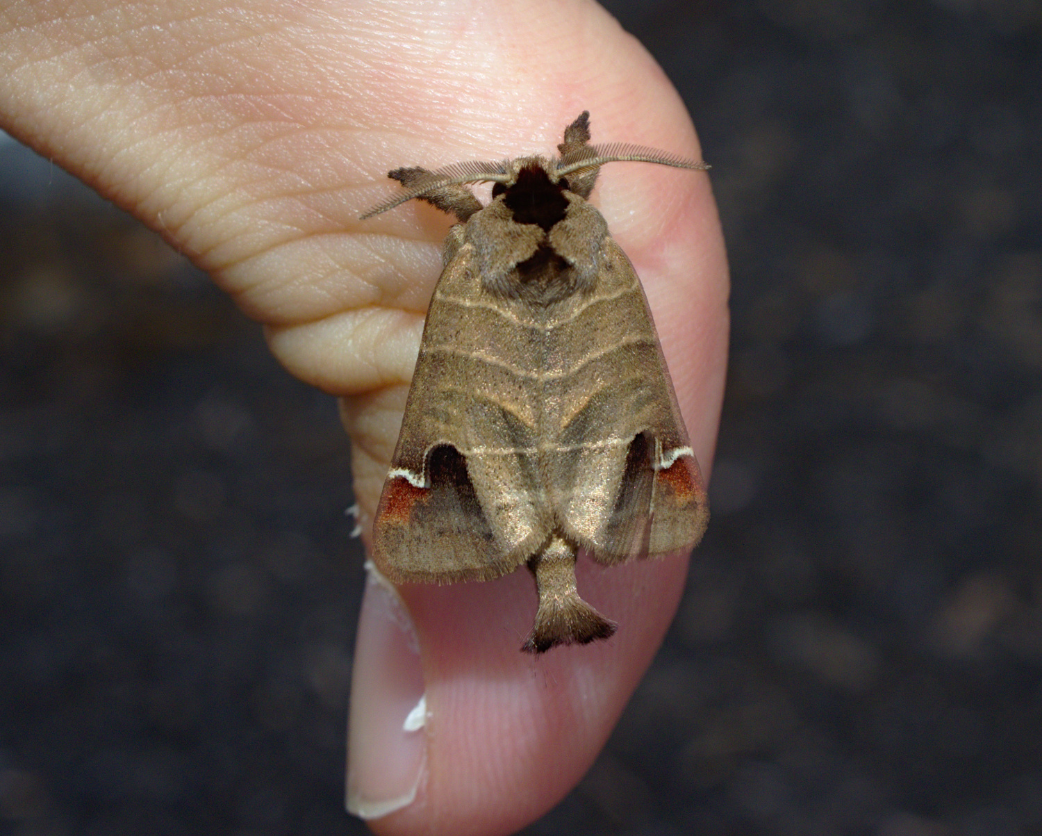 Alright this one is pretty neat_20200727.jpg